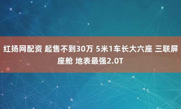 红扬网配资 起售不到30万 5米1车长大六座 三联屏座舱 地表最强2.0T
