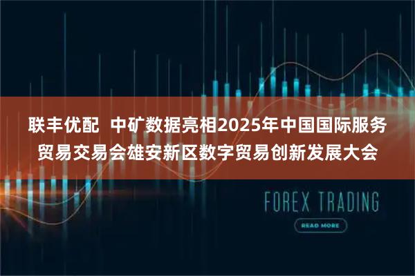 联丰优配  中矿数据亮相2025年中国国际服务贸易交易会雄安新区数字贸易创新发展大会