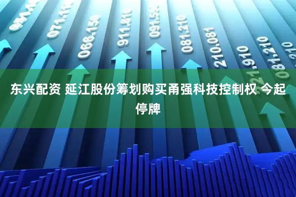 东兴配资 延江股份筹划购买甬强科技控制权 今起停牌